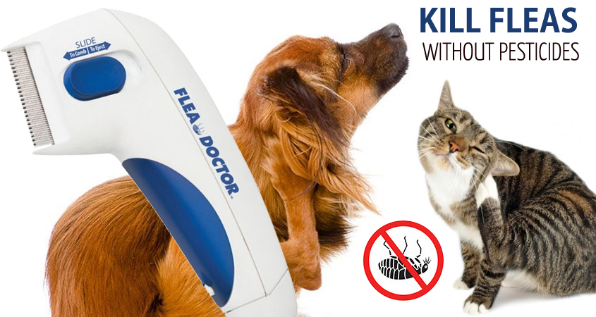 Kills & Stuns Fleas Safe for Pets Electric Flea Lice Tick Treatment Comb for Dogs Cats and other Pets HHJ Flea Doctor Comb Flea and Tick Removal As Seen On TV