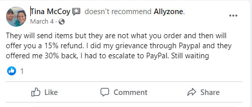 Allyzone tina mccoy review