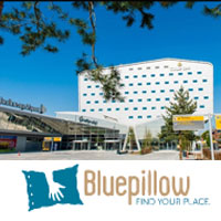 bluepillow