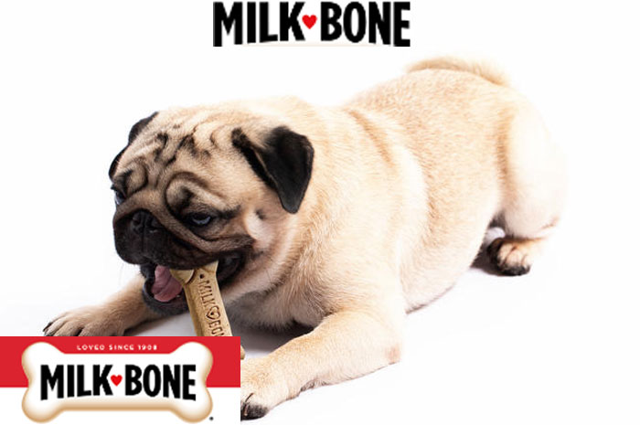Milk-Bone-Calm-And-Relax-Relax-Review-1