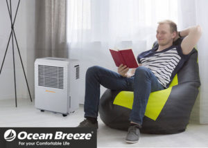 Ocean Breeze Portable Air Conditionernull