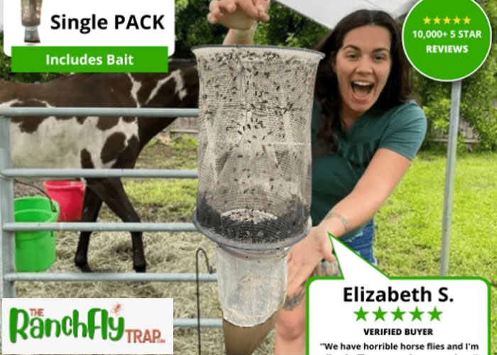 the ranch fly trap reviews