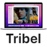 tribel