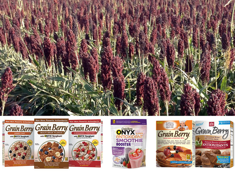 Grain Berry Cereal Reviews