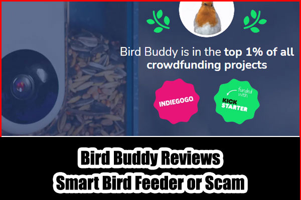 Bird Buddy Reviews