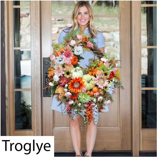 Troglye.Com2