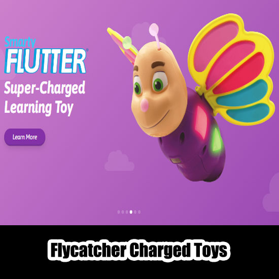 Flycatcher Toys Reviews1