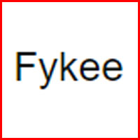 Fykee Cordless Vacuum Reviews