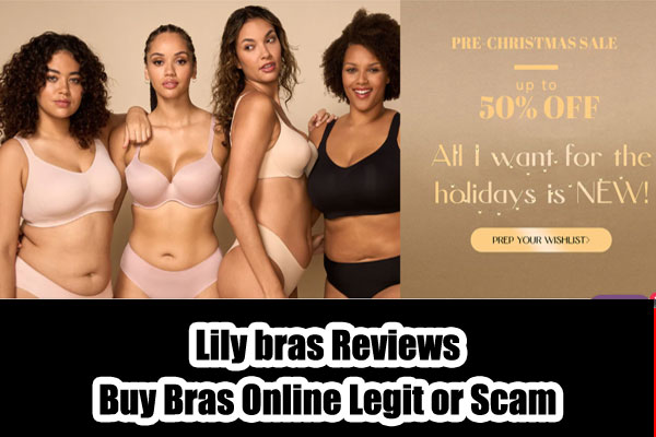 Lily Bras Review