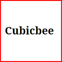 Cubicbee Review