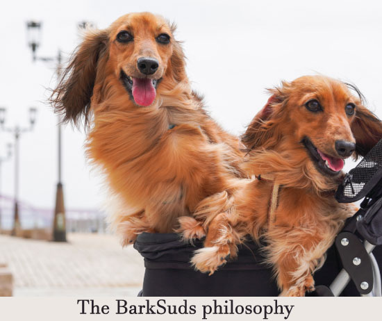 Barksuds Review