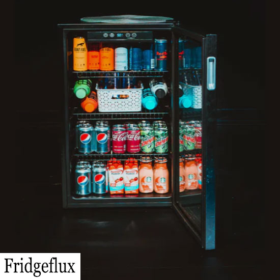 Mini Fridgeflux Reviews