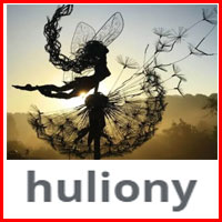 Huliony Reviews