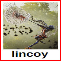 lincoy reviews