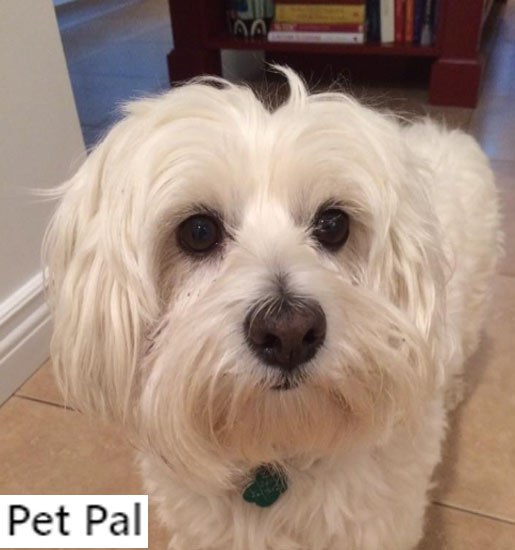 Pet Pal Reviews