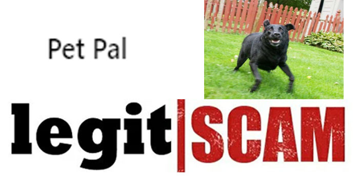 Pet Pal Legitimate reviews or scams